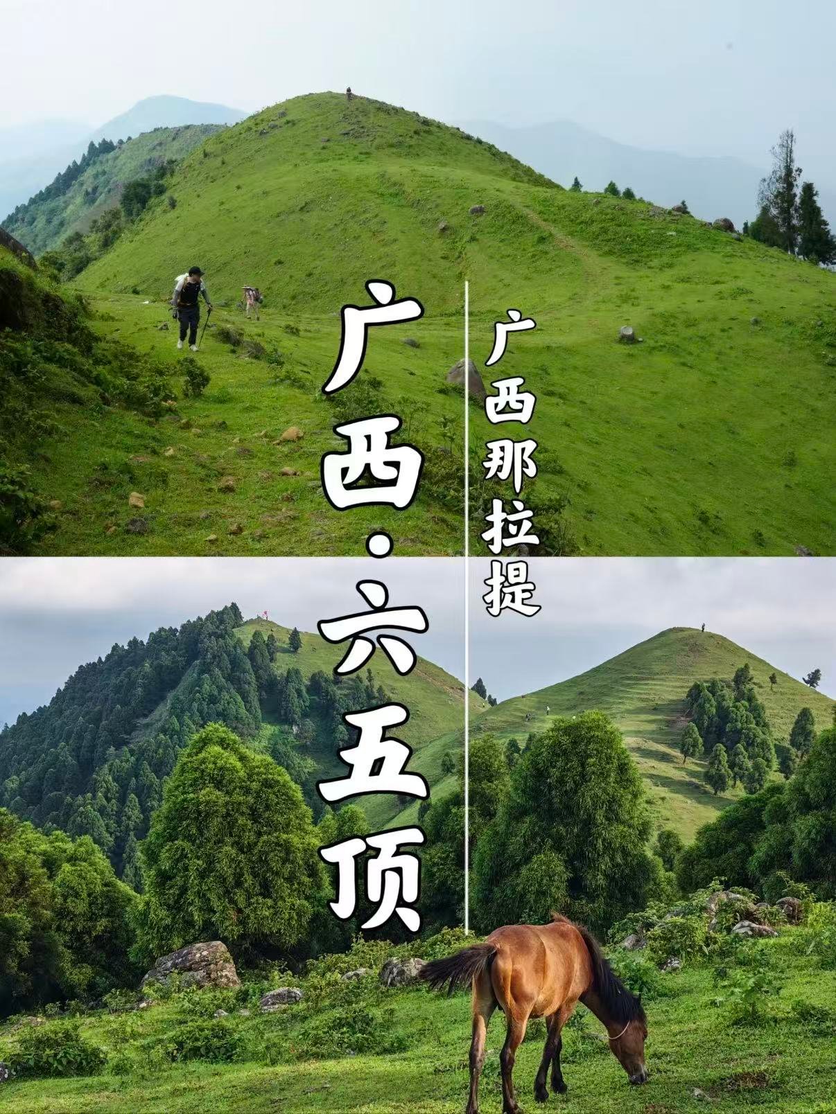 🌿 广西六五顶｜藏在容县的 “那拉提” 秘境
