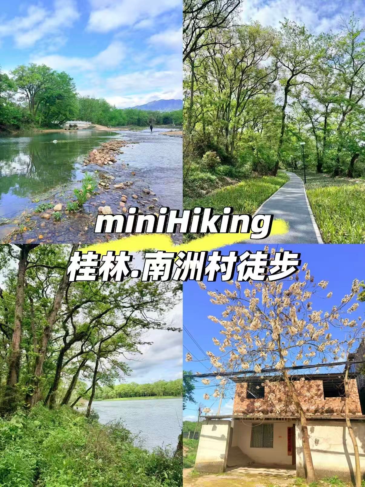 🌿 桂林南洲村｜江边的 mini 徒步秘境