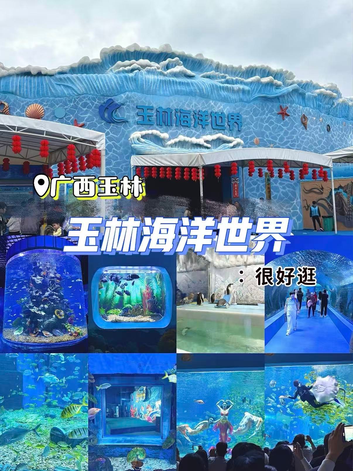 🌊 玉林海洋世界｜蓝色童话秘境