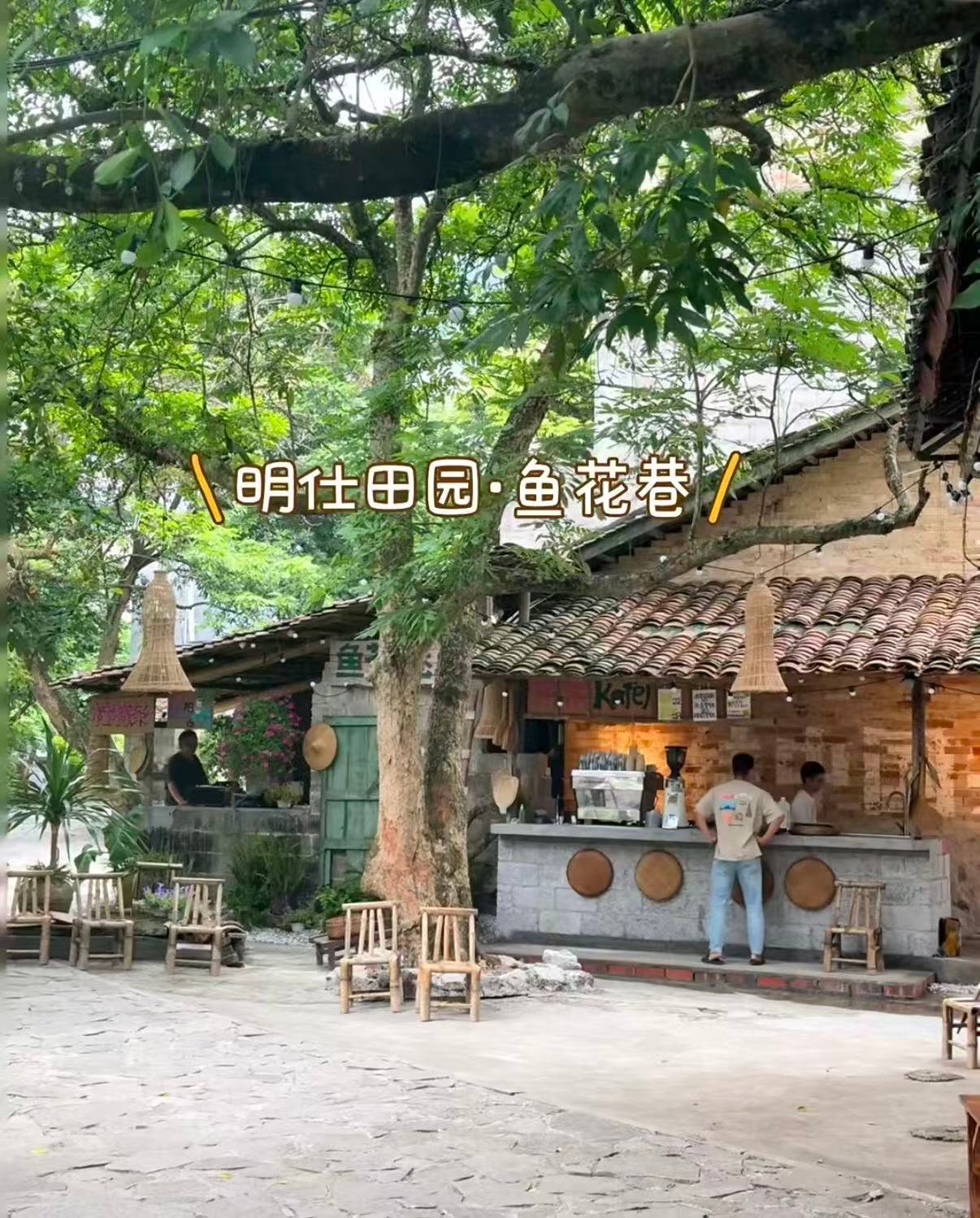 🌿 崇左鱼花巷｜宝藏咖啡打卡地