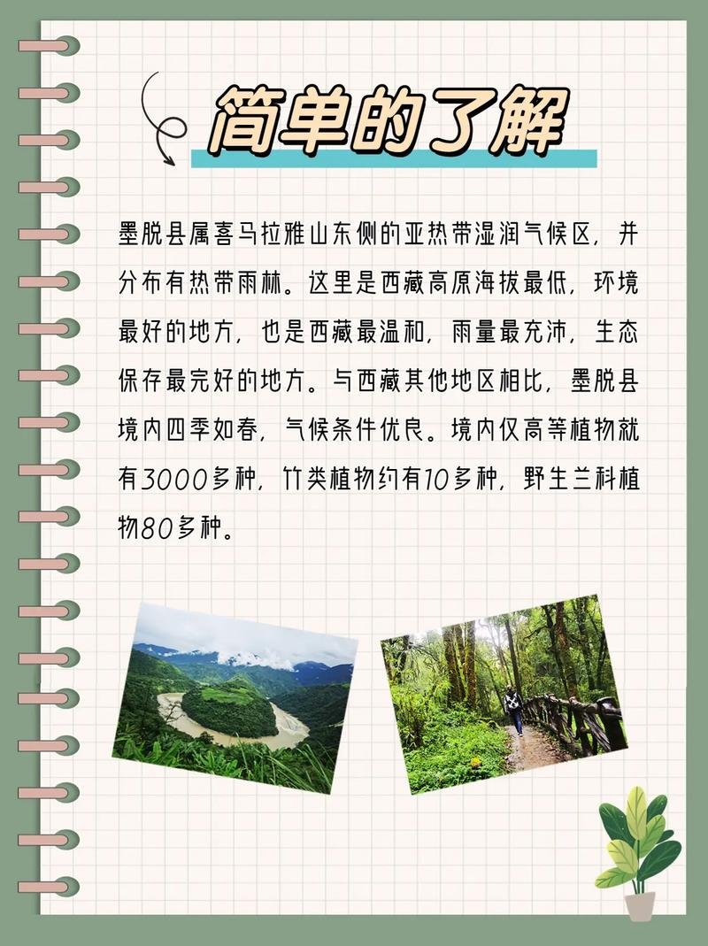 🌿 墨脱｜藏地的 “莲花秘境”，从热带雨林到雪山的穿越之旅✨