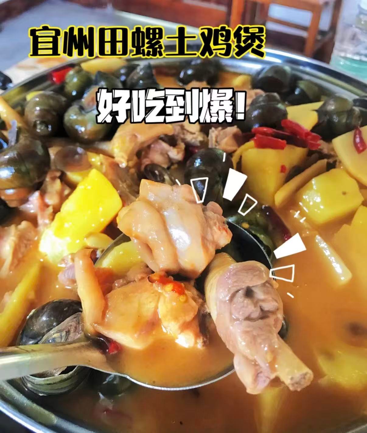 🍲 河池宜州｜田螺土鸡煲，一口就上头的山野风味