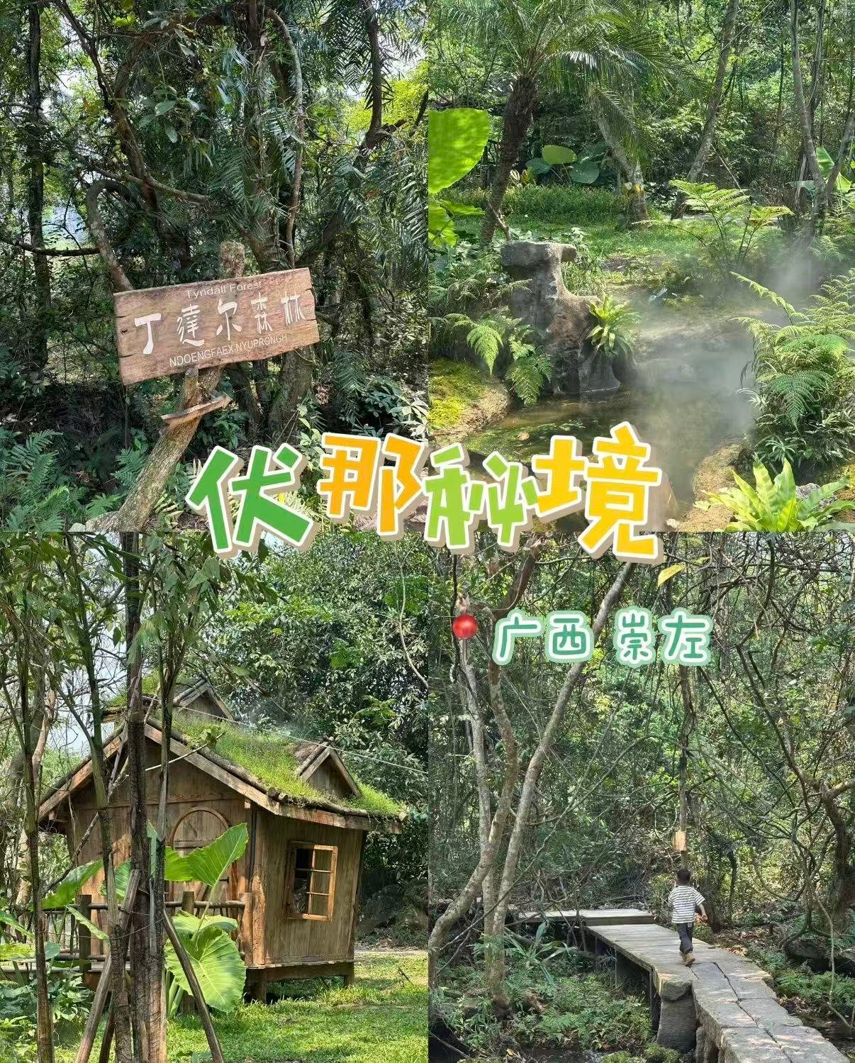 🌿 崇左伏那秘境｜现实版《阿凡达》森林