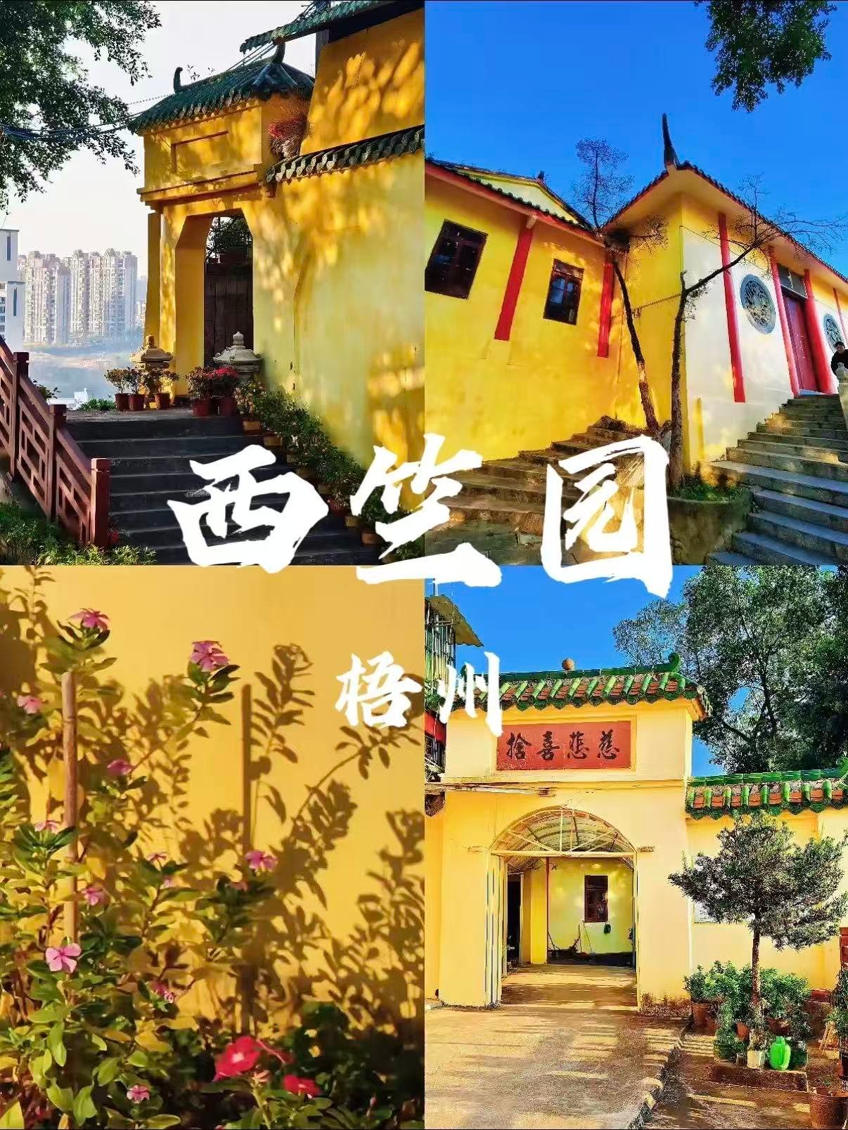🌼 梧州西竺园｜山林间的黄墙禅意
