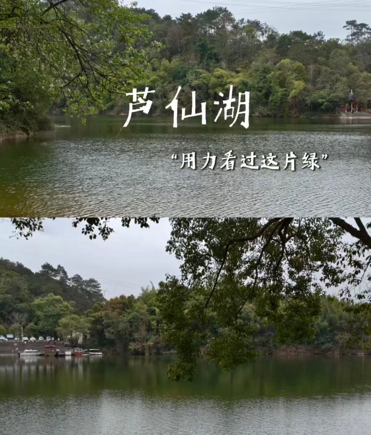 🌿 百色芦仙湖｜山林间的静谧绿宝石