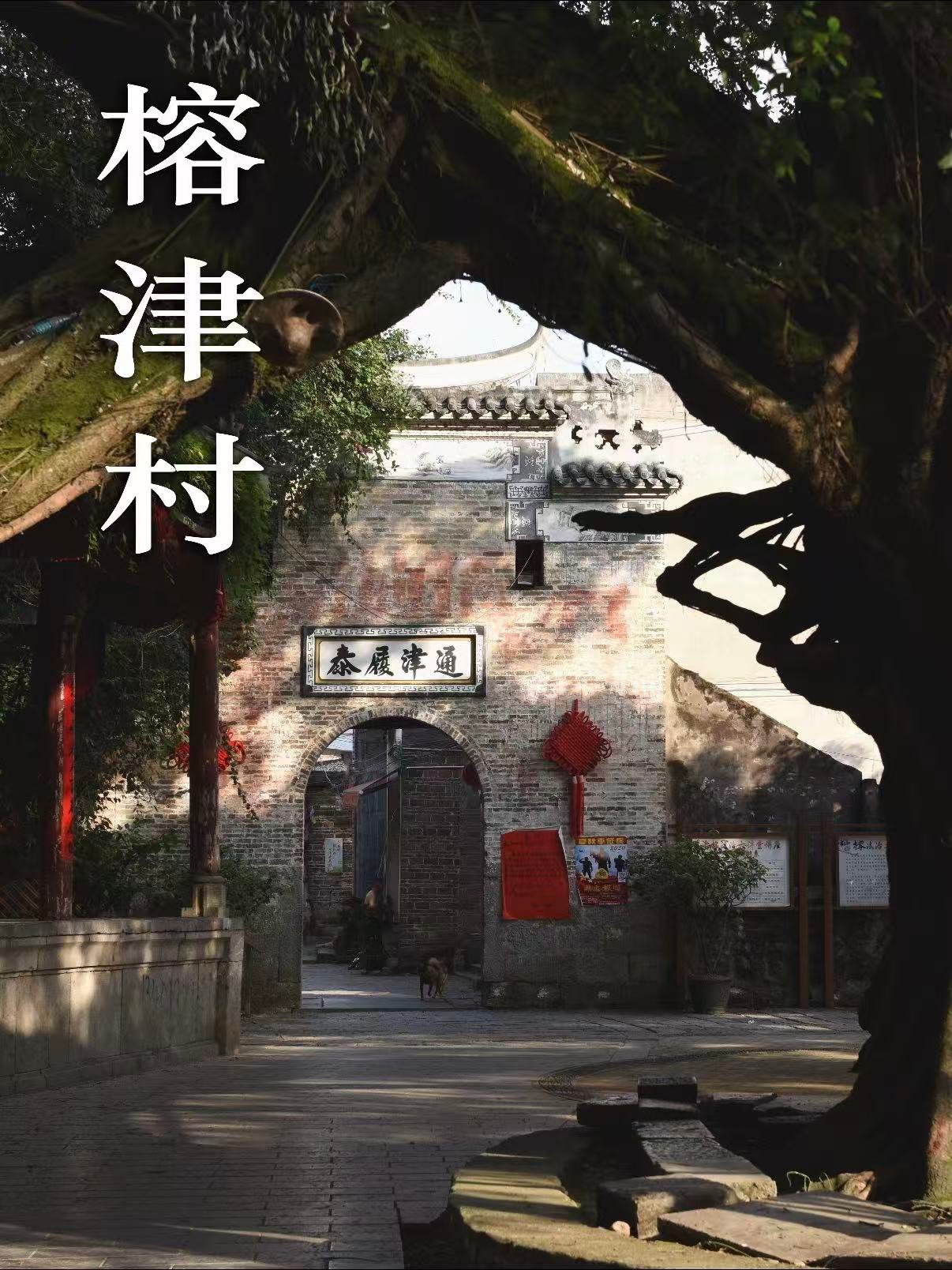 🌳 桂林榕津村｜千年古榕守护的水乡秘境