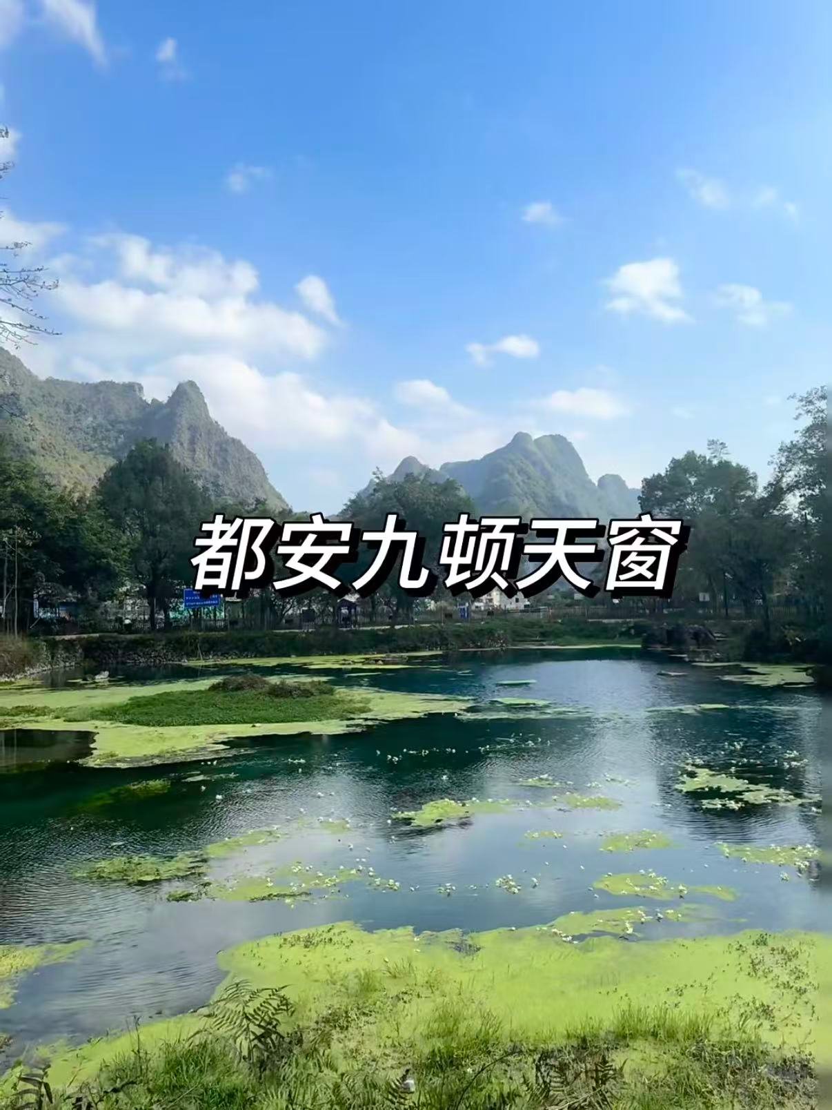🌿 都安九顿天窗｜喀斯特地下河的 “翡翠秘境”✨
