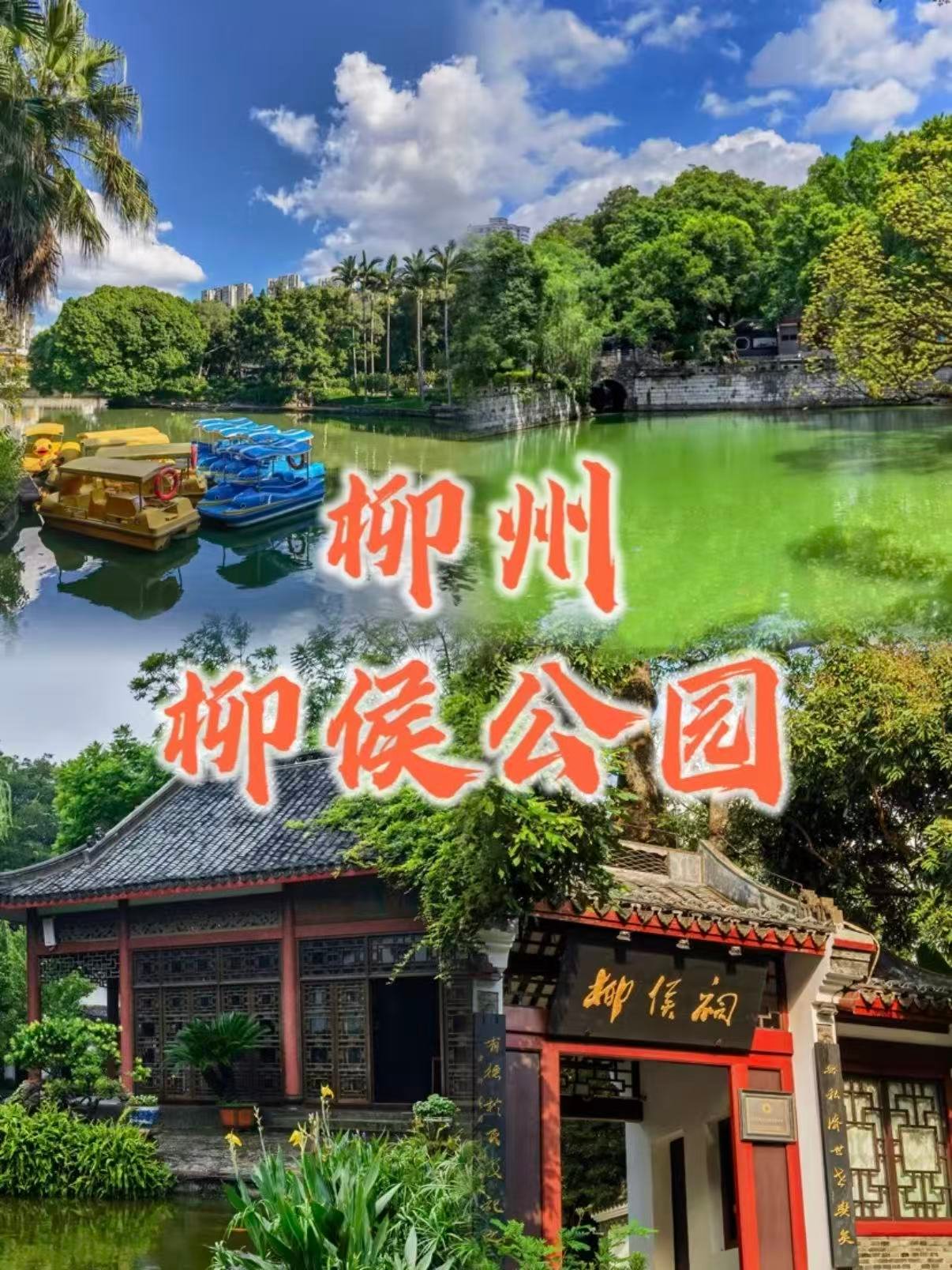 🌿 柳州柳侯公园｜市中心的千年文脉绿洲