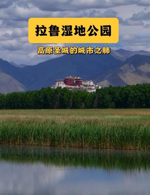 🌿 拉鲁湿地公园｜布达拉宫的 “后花园”，拉萨的城市之肺✨