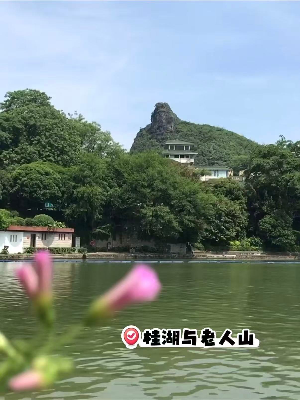🌳 桂林桂湖与老人山｜藏在市区里的山水秘境