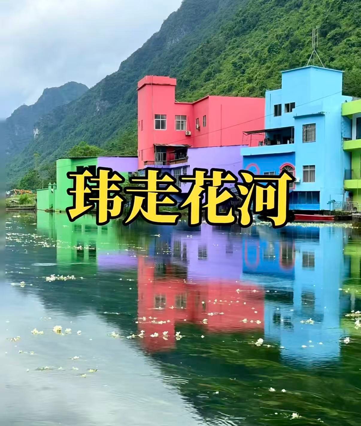 🌼 玮走花河｜都安水上花海