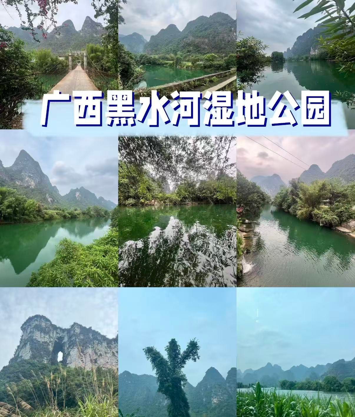 🌿 广西黑水河湿地公园｜中越边境的喀斯特风光