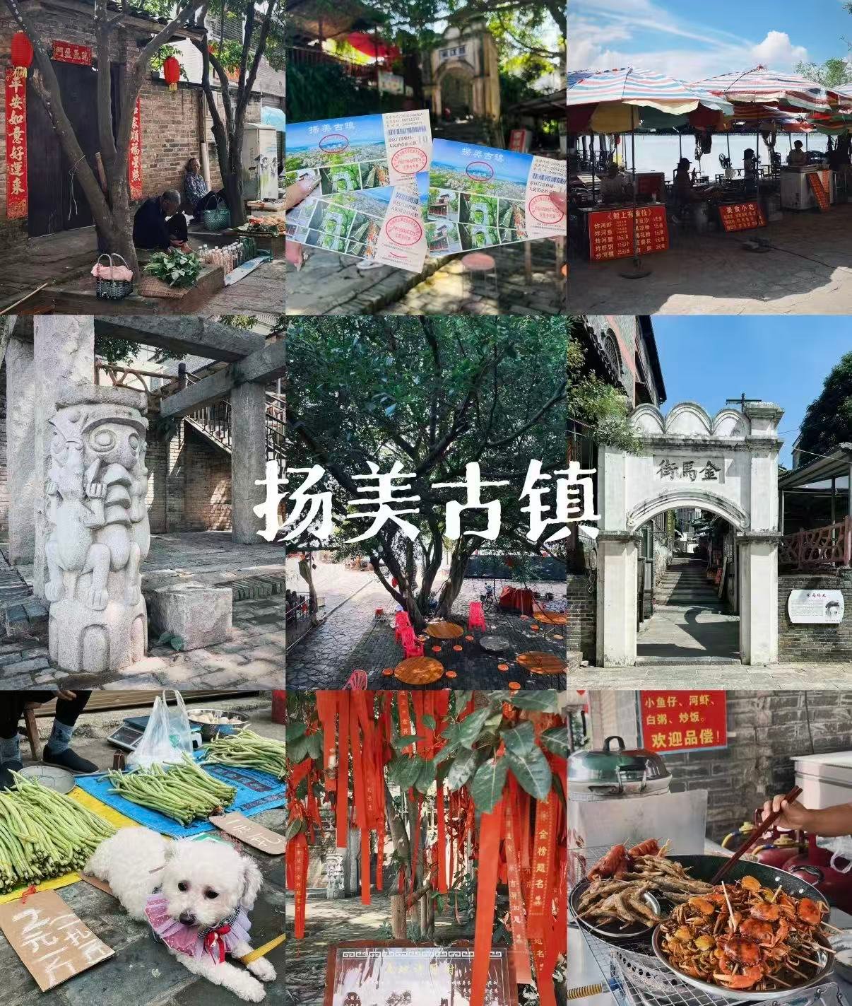 🌿 杨美古镇｜南宁近郊的百年商埠