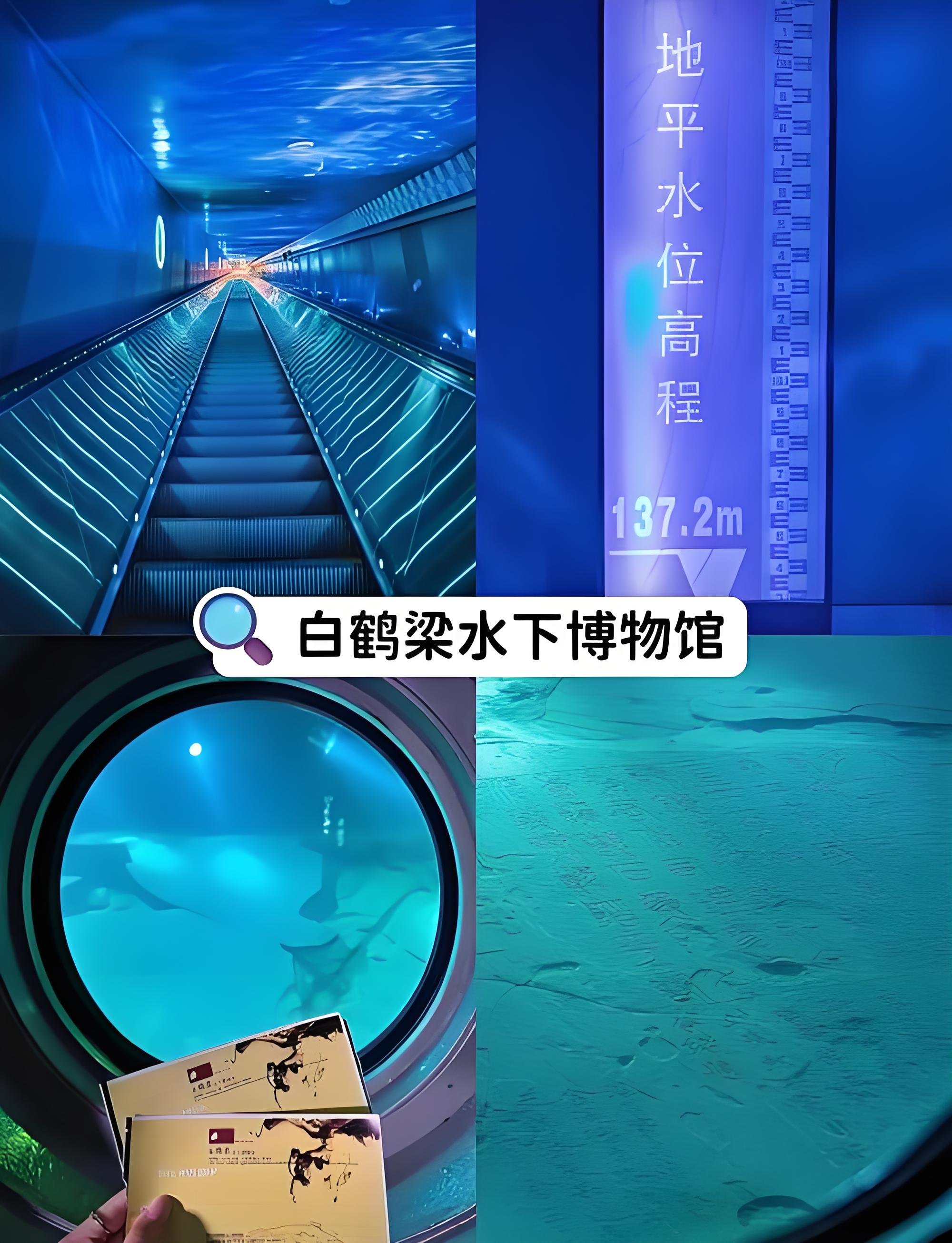 涪陵白鹤梁水下博物馆一日研学攻略