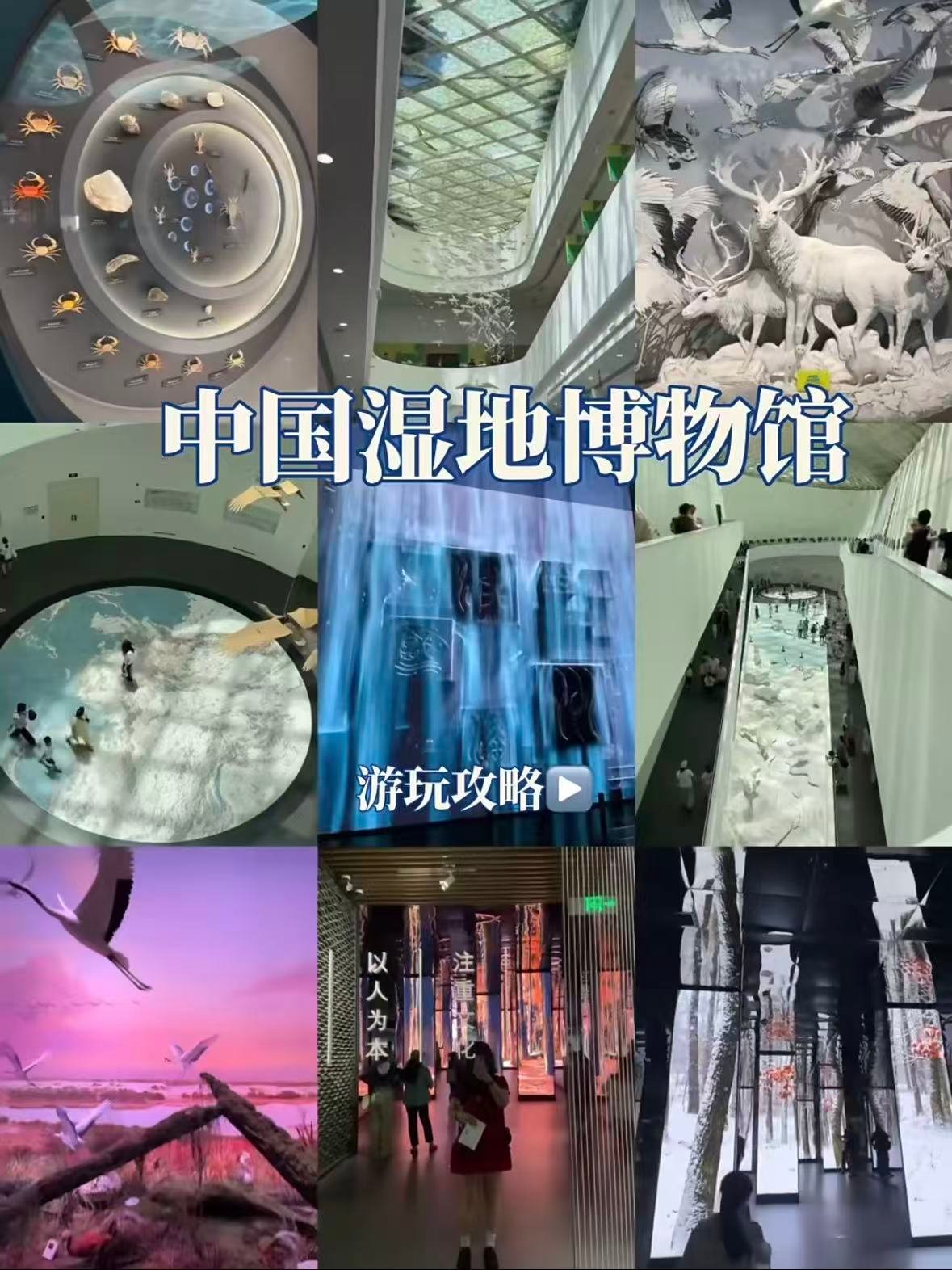 中国湿地博物馆｜藏在西溪的生态秘境🌿