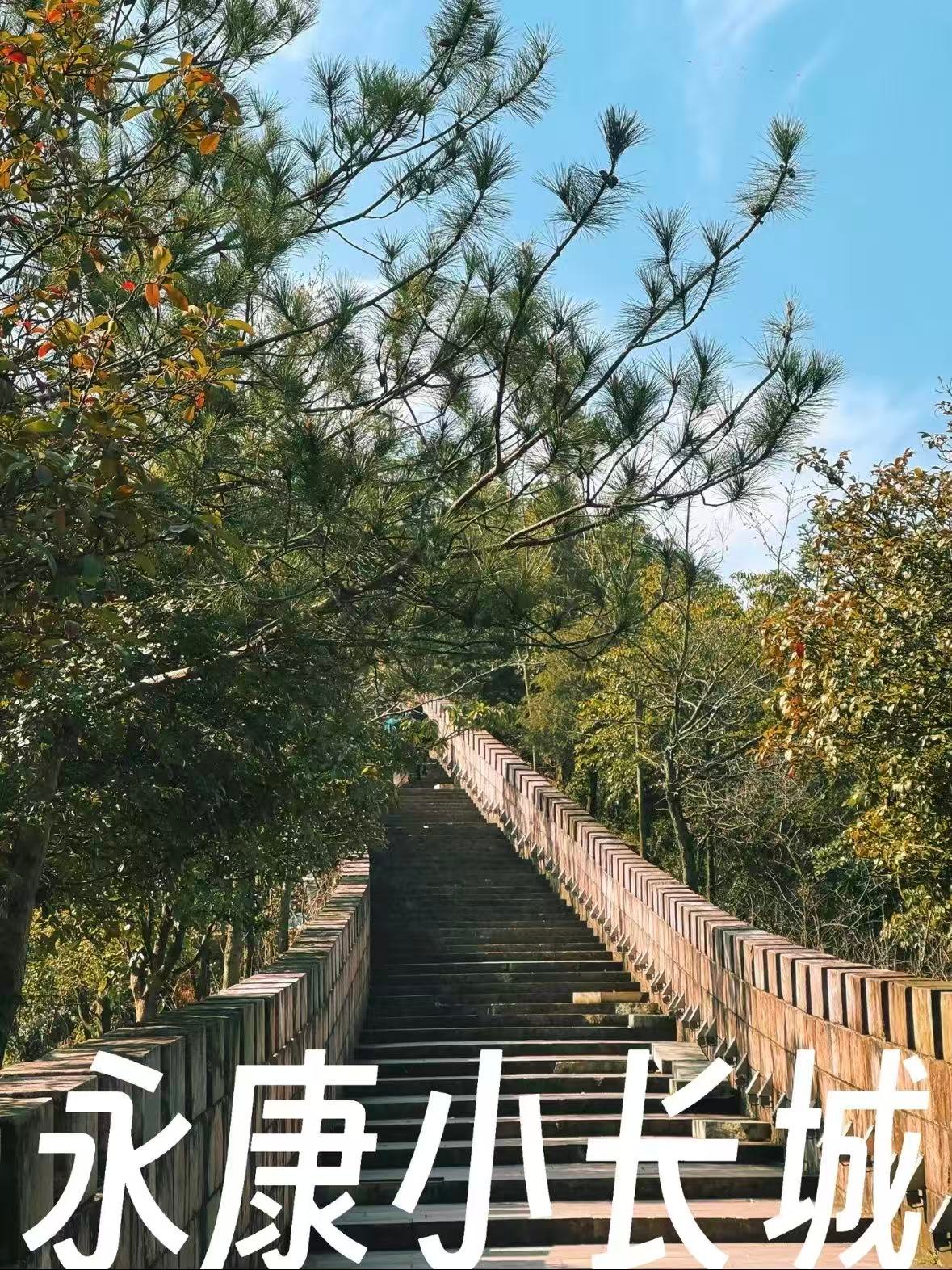 永康小长城｜浙里的 “迷你八达岭”，徒步与山景的双重治愈🌿