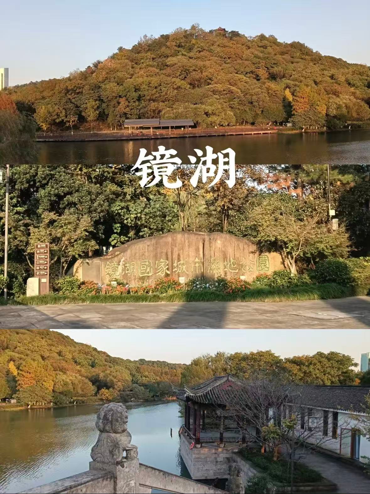 绍兴镜湖湿地公园｜藏在城市里的春日秘境🌿