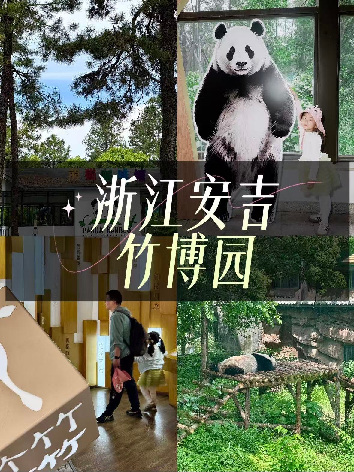 安吉竹博园｜在竹海秘境，撸到圆滚滚的大熊猫🐼✨