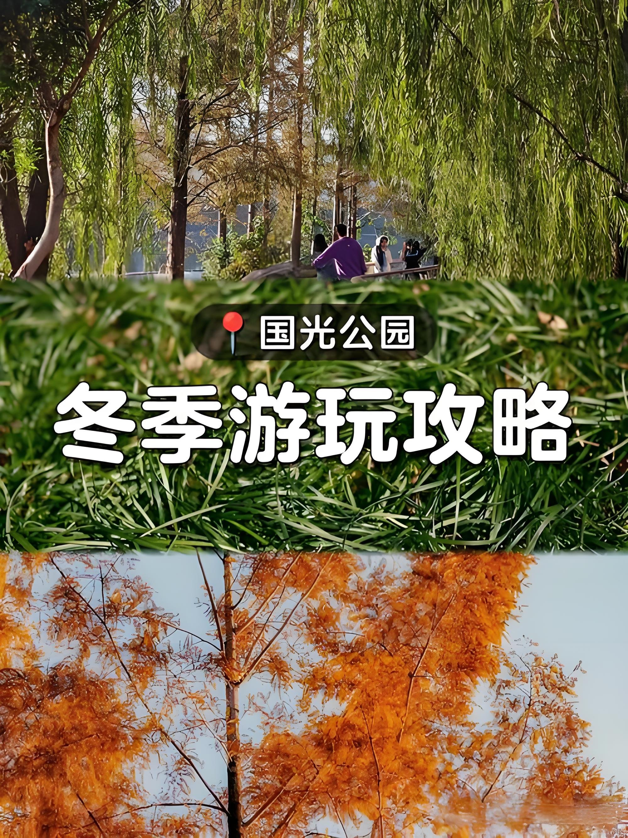 福州国光公园｜闽江岸边落羽杉滨江公园攻略🍂
