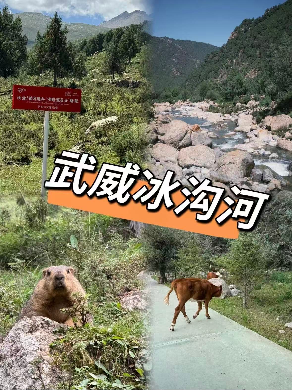 武威冰沟河｜祁连山里的天然秘境，徒步爱好者的天堂✨