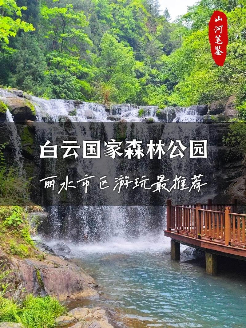 丽水白云国家森林公园｜藏在市区里的天然氧吧🌿