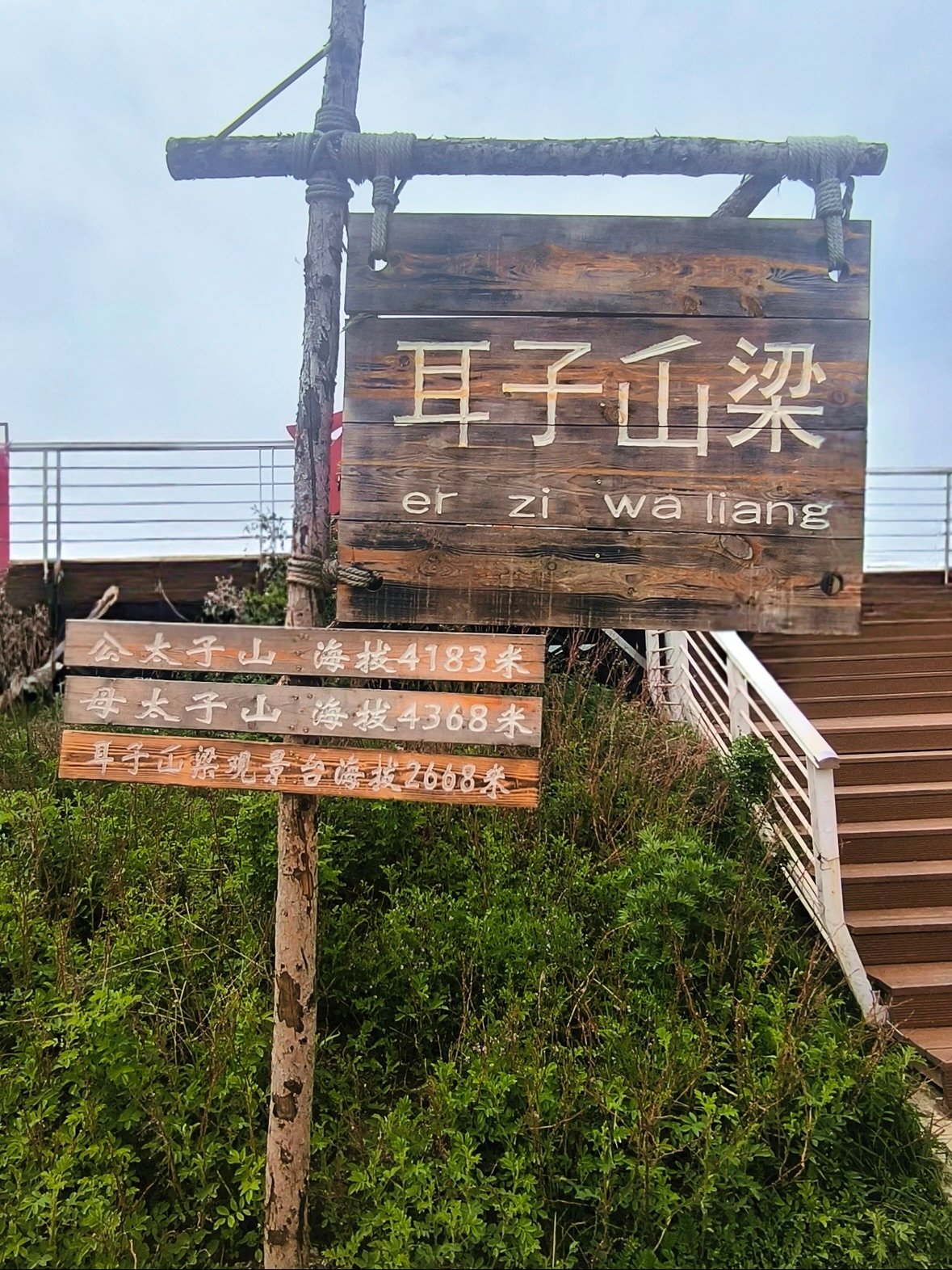 甘南小众秘境｜耳子屲梁，被低估的山野治愈地✨