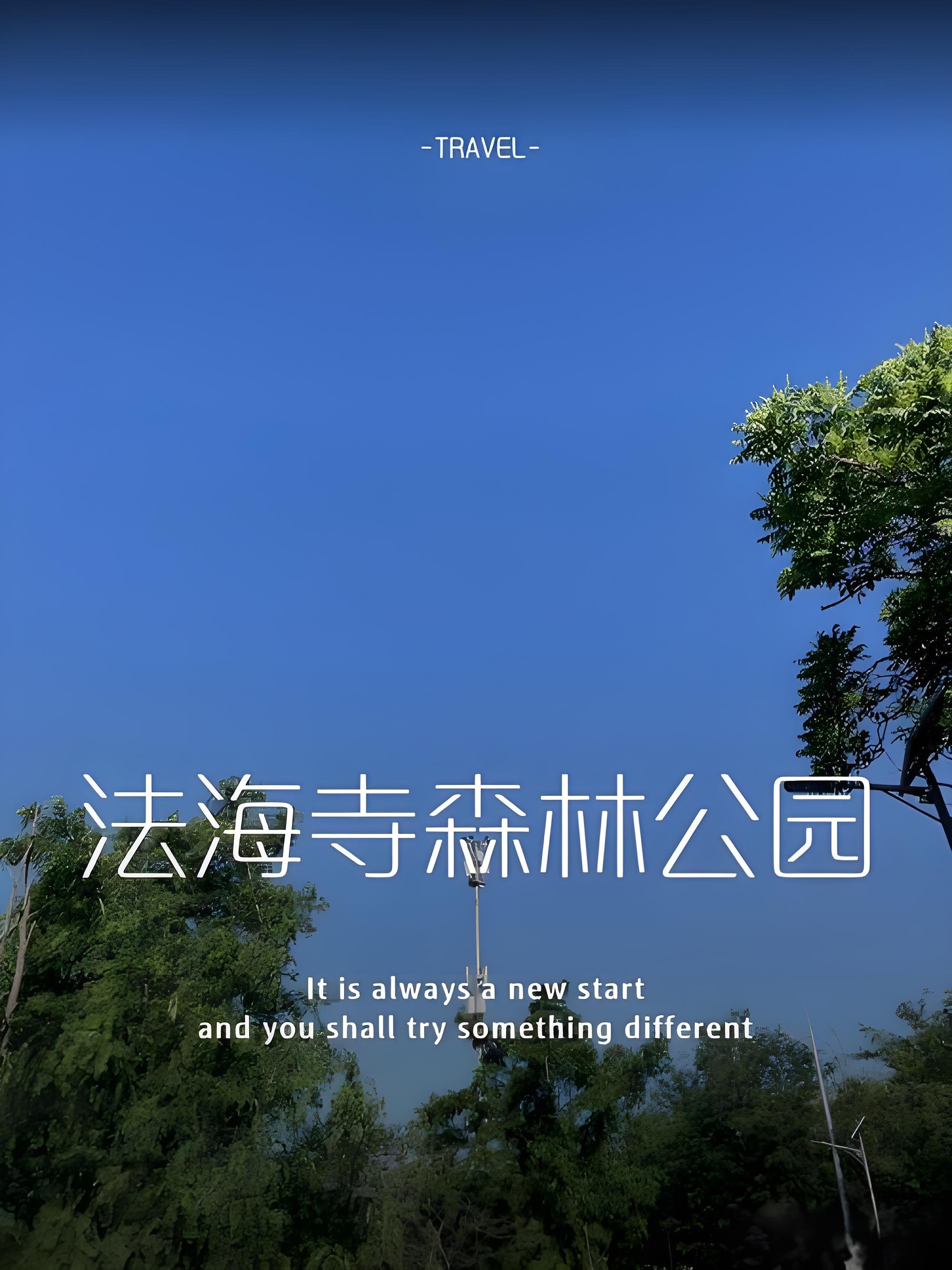 福州法海寺森林公园｜藏在市区的千年古刹氧吧攻略🍂