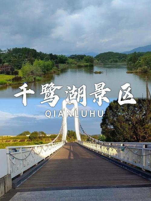 龙岩千鹭湖｜闽西 “江南太湖”，藏在湿地里的治愈秘境🌊