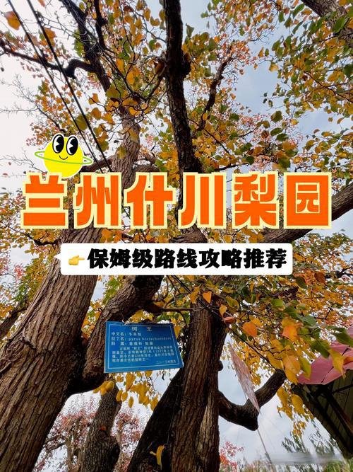 🌿 兰州什川梨园｜藏在黄河边的千年梨花秘境