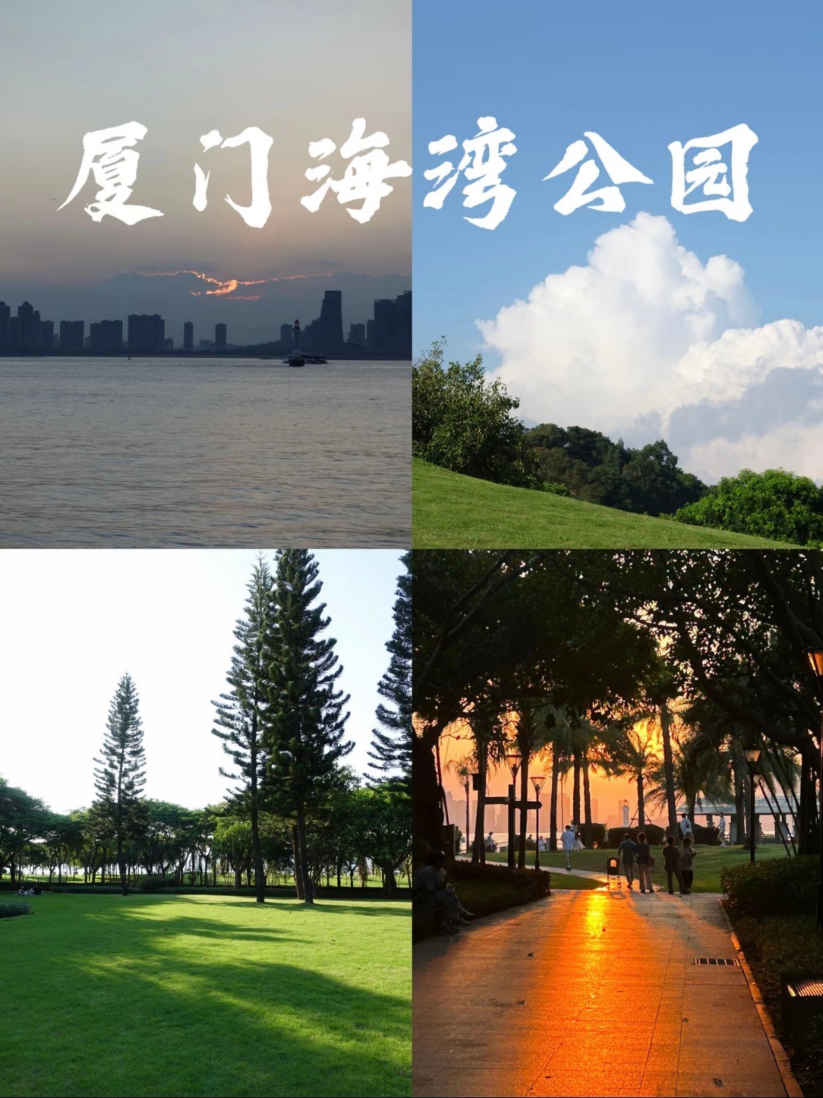 厦门海湾公园｜宫崎骏同款治愈童话秘境✨