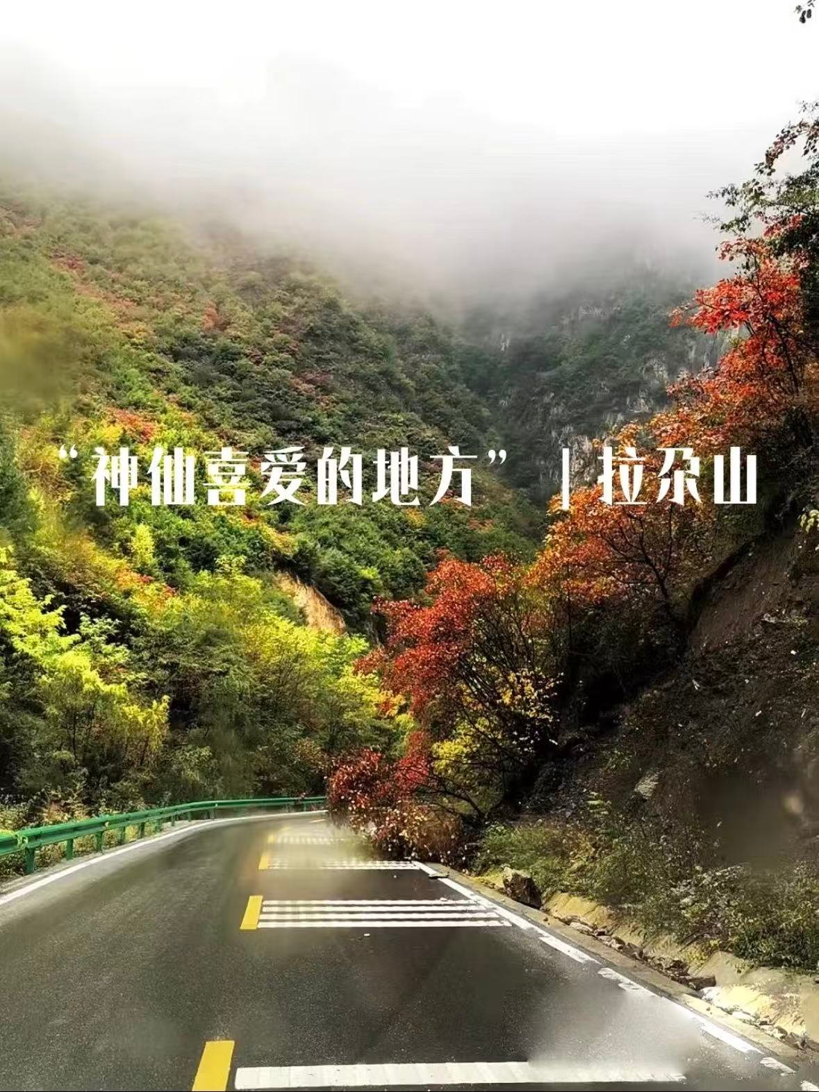 🌿 甘南・拉尕山｜神仙喜爱的地方✨