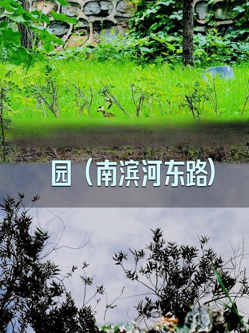 🌿兰州颐园｜黄河边的治愈系城市绿肺✨
