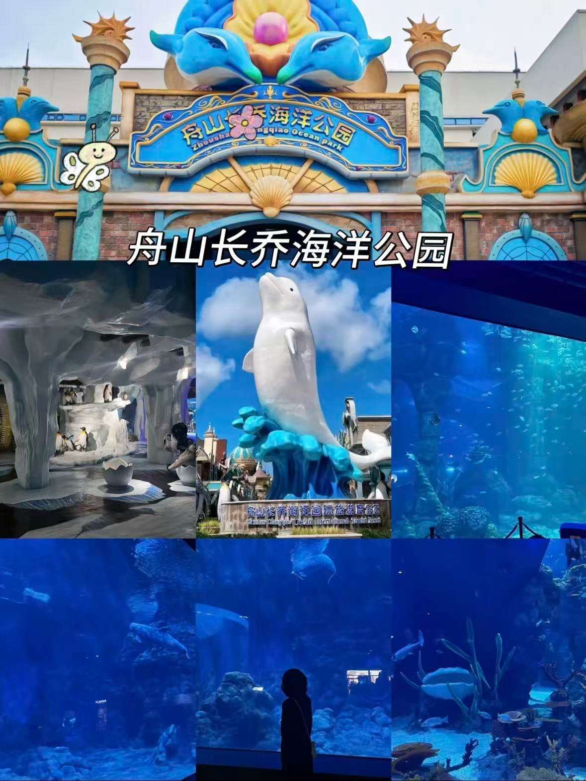 舟山长乔海洋公园｜江浙沪亲子游天花板🐬