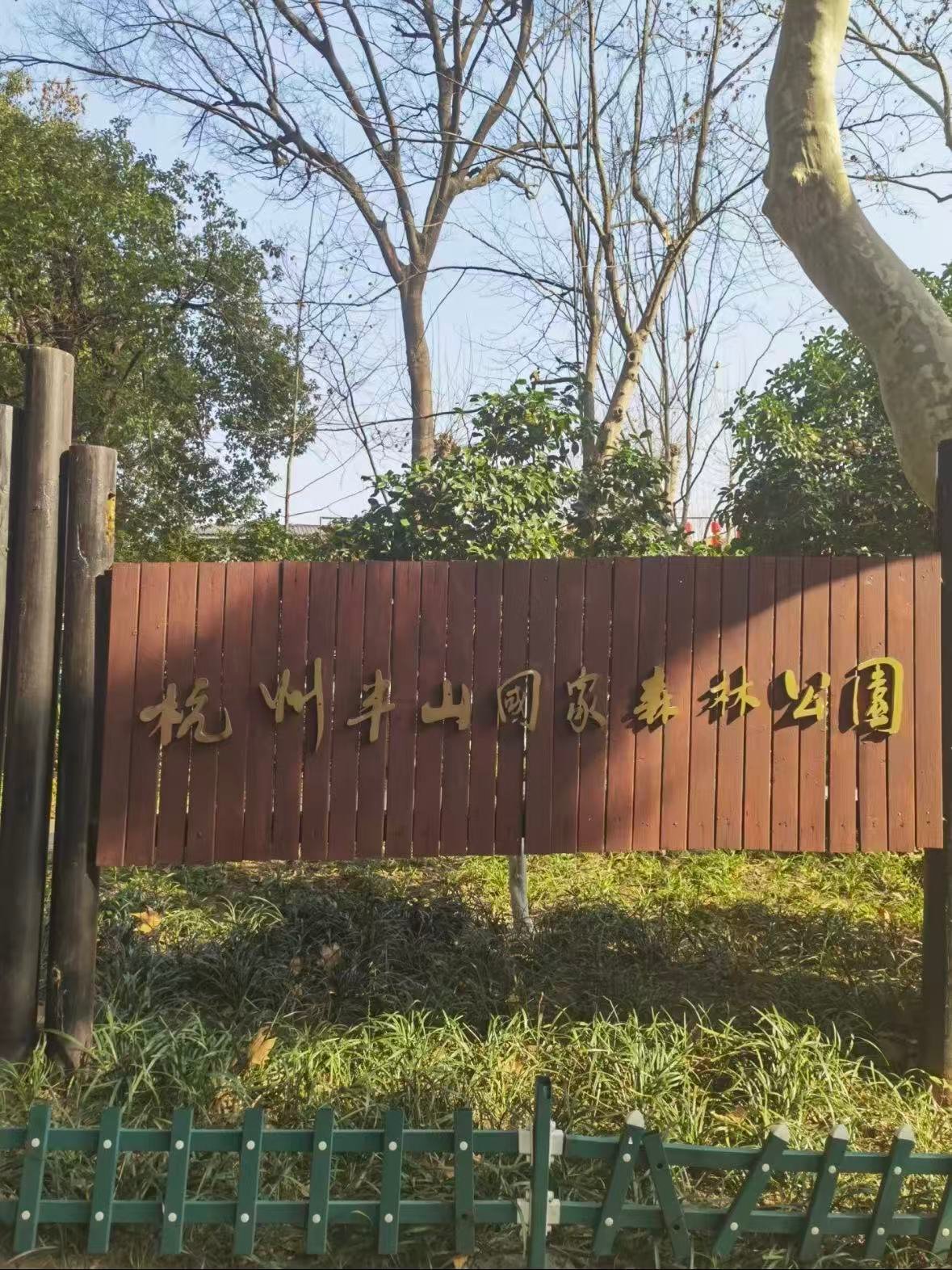 杭州半山国家森林公园｜城市里的天然氧吧🌿