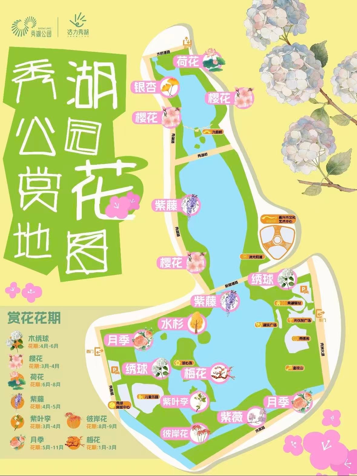 嘉兴｜秀湖公园，把四季花海的浪漫焊在了一起🌸
