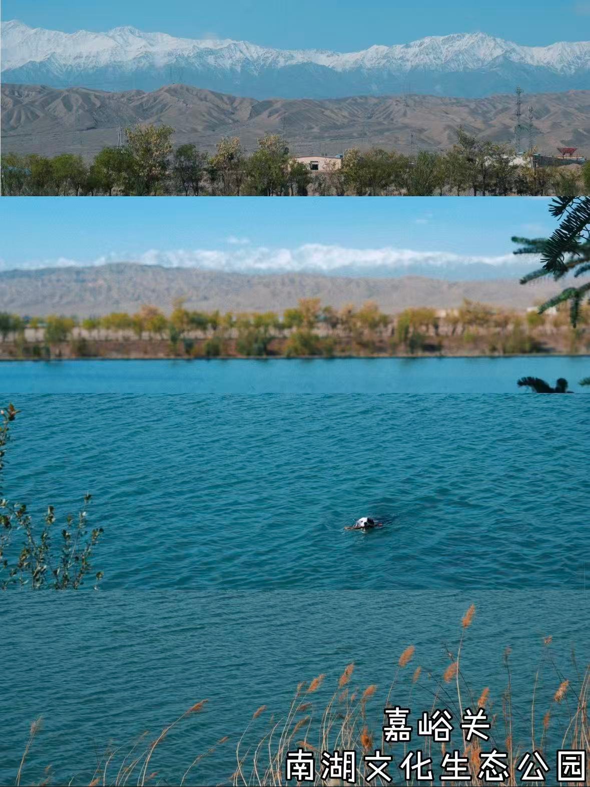 嘉峪关南湖 / 草湖｜戈壁里私藏的 Tiffany 蓝治愈湖景💙
