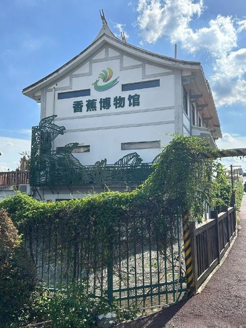 漳州天宝香蕉海｜被低估的绿野仙踪🌿