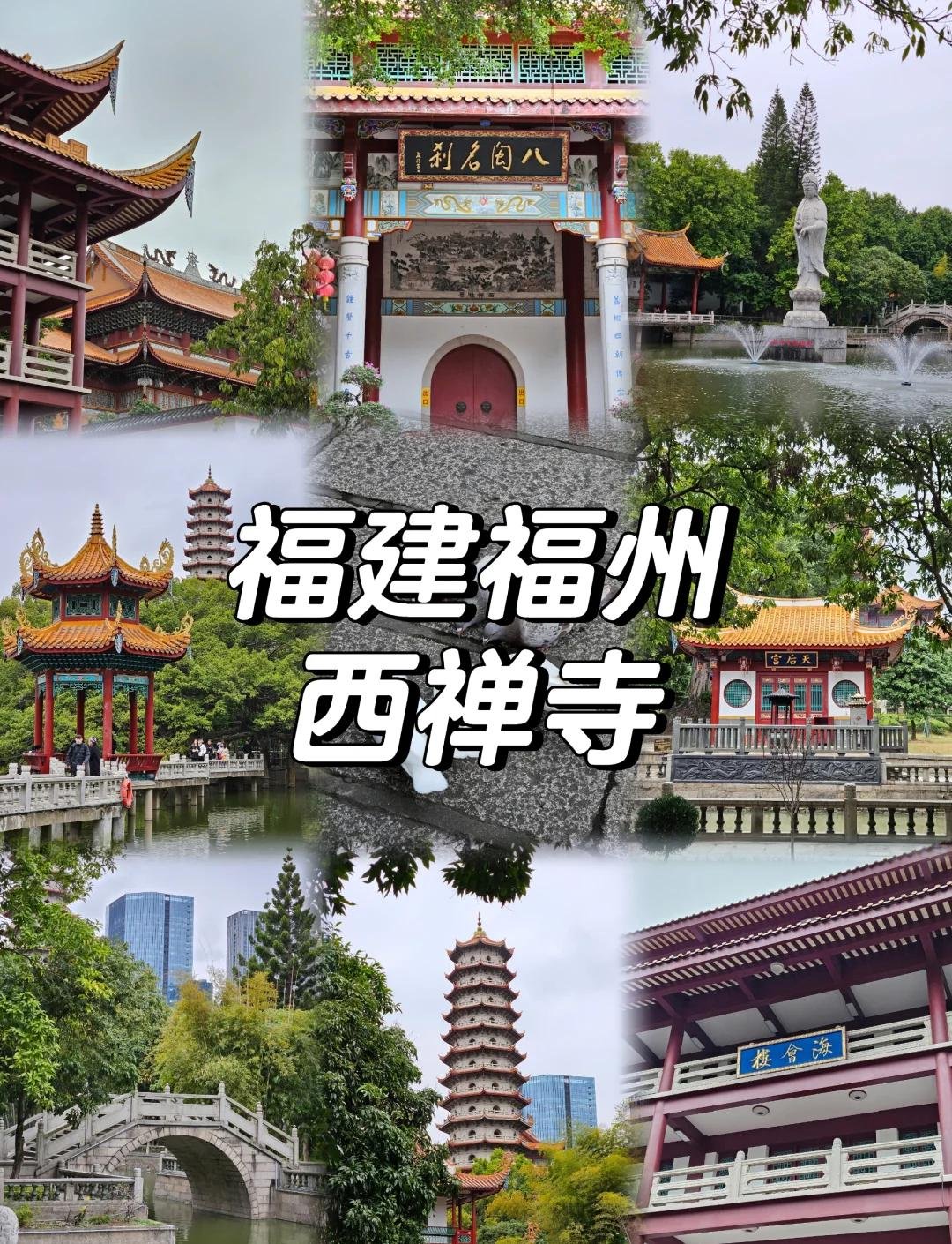 福州西禅古寺｜藏在闹市的千年禅意秘境✨保姆级攻略