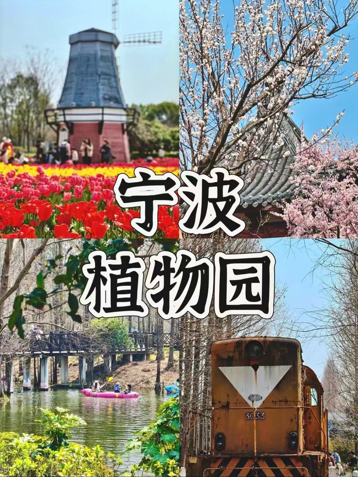 🌷 宁波植物园｜春日限定花海超治愈！