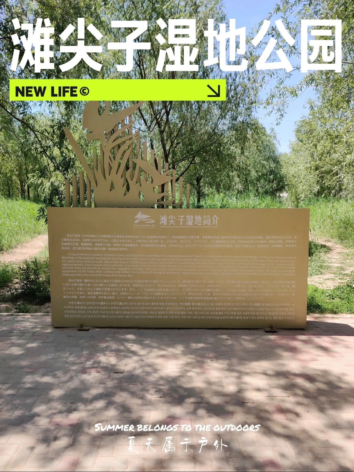 🌿兰州滩尖子湿地公园｜黄河边的治愈系绿洲✨