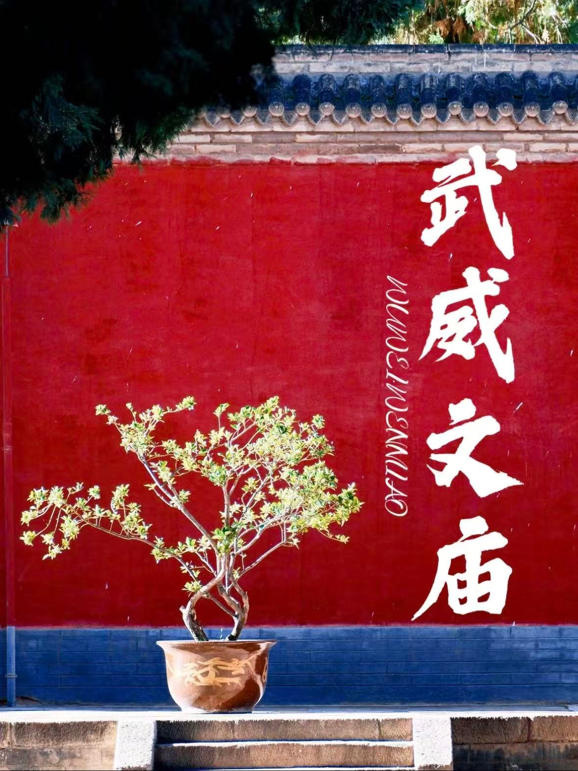 武威文庙｜西北第一文庙，藏着千年的书香与匠心✨