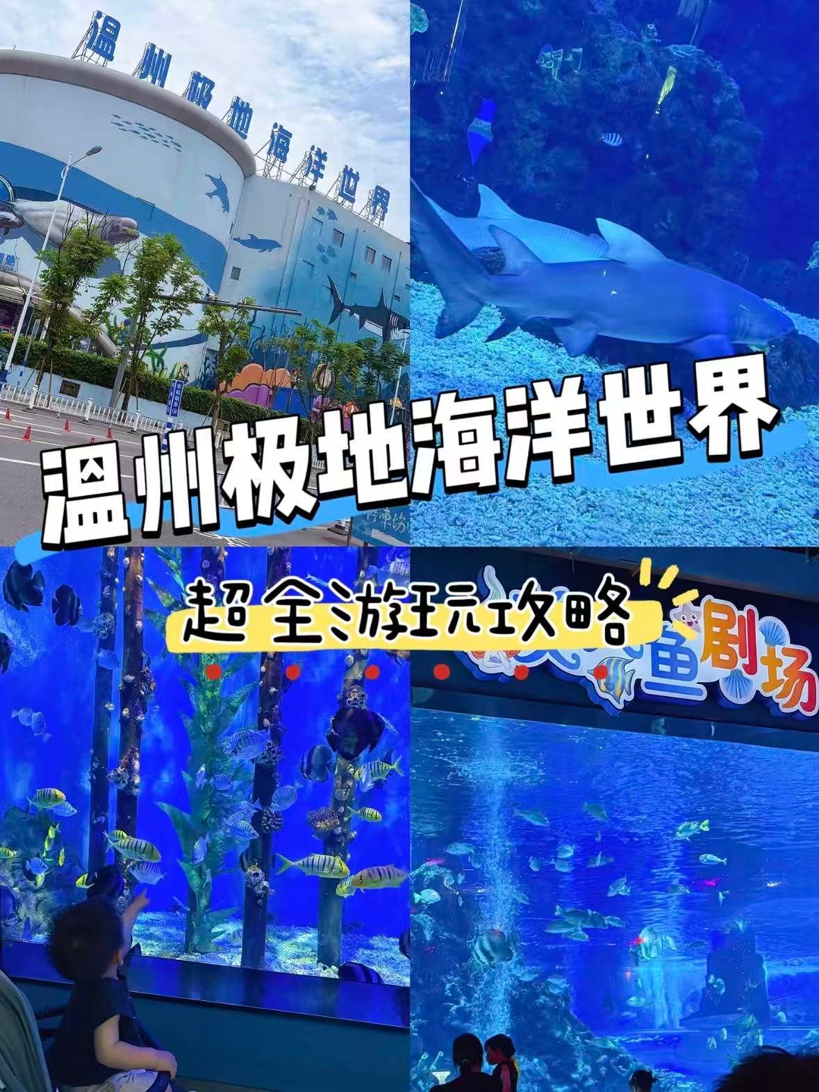 🐬 温州极地海洋世界｜沉浸式海洋奇遇之旅