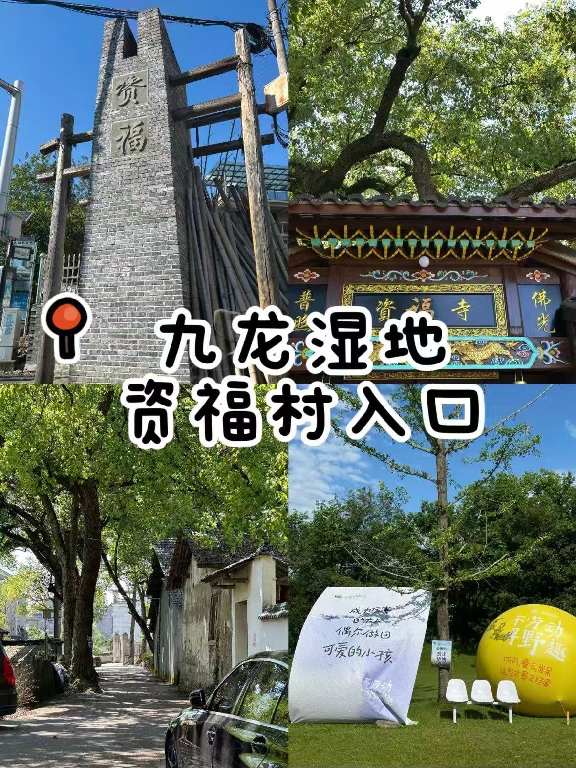 丽水九龙国家湿地公园｜藏在浙西南的 “绿野仙踪”✨
