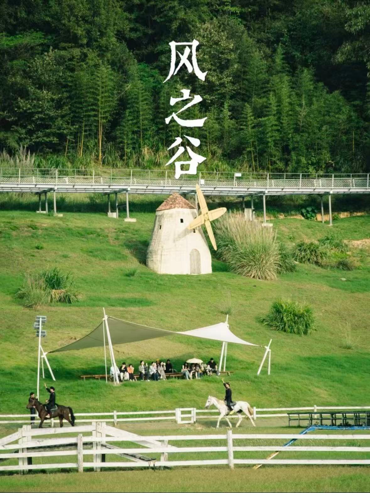 杭州风之谷｜藏在山林里的治愈系乌托邦🌿
