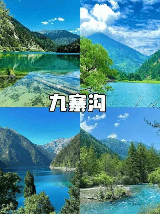 九寨归来不看水💎保姆级一日游攻略 新手直接抄