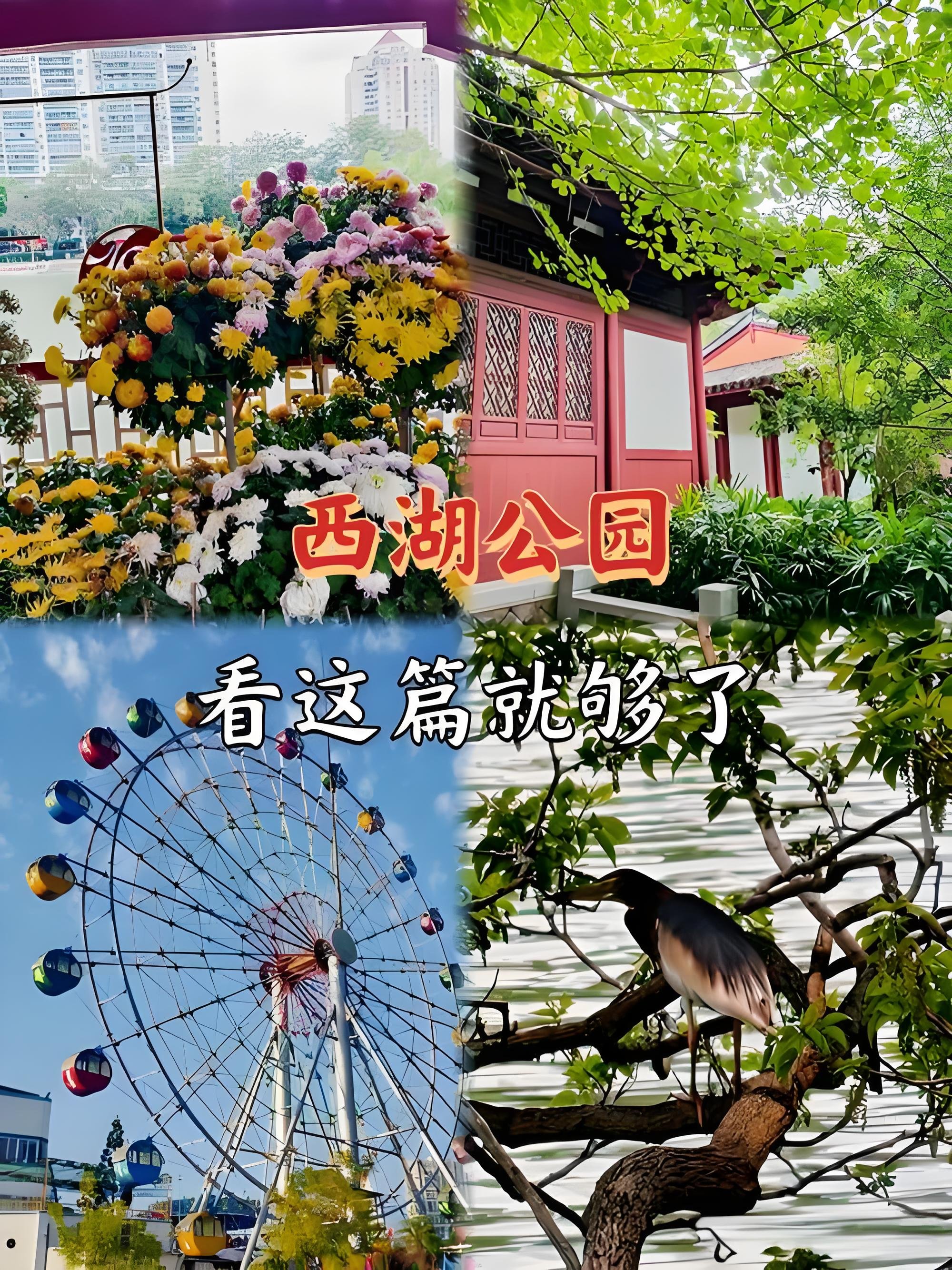 福州西湖公园｜福州老牌免费园林秘境｜保姆级游玩攻略✨