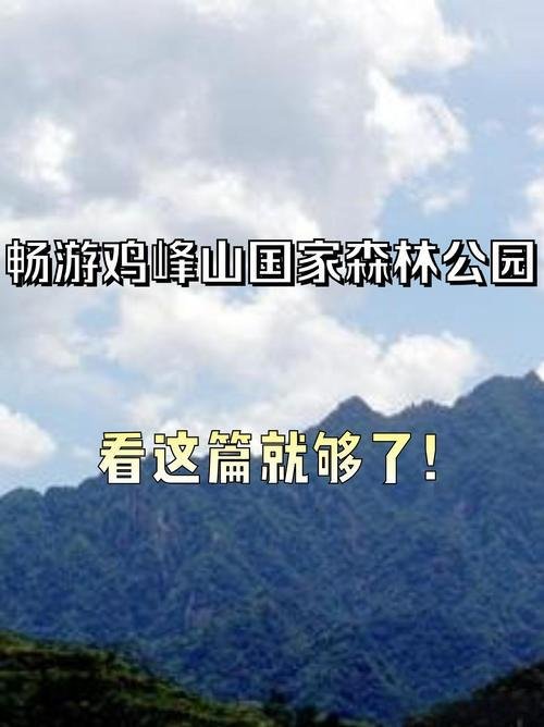 🏔️ 鸡峰山国家森林公园｜陇南的云端仙境