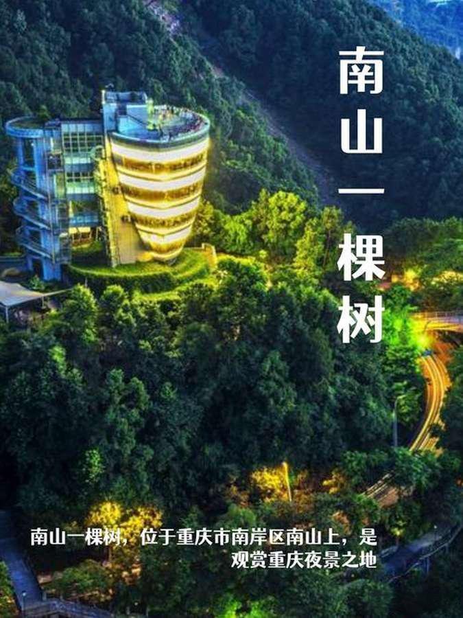 南山一棵树｜重庆夜景天花板✨上帝视角包揽整座山城灯火