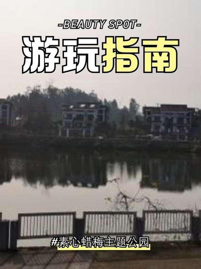 北碚静观・素心腊梅主题公园（中国静观蜡梅博览园｜3A 景区）