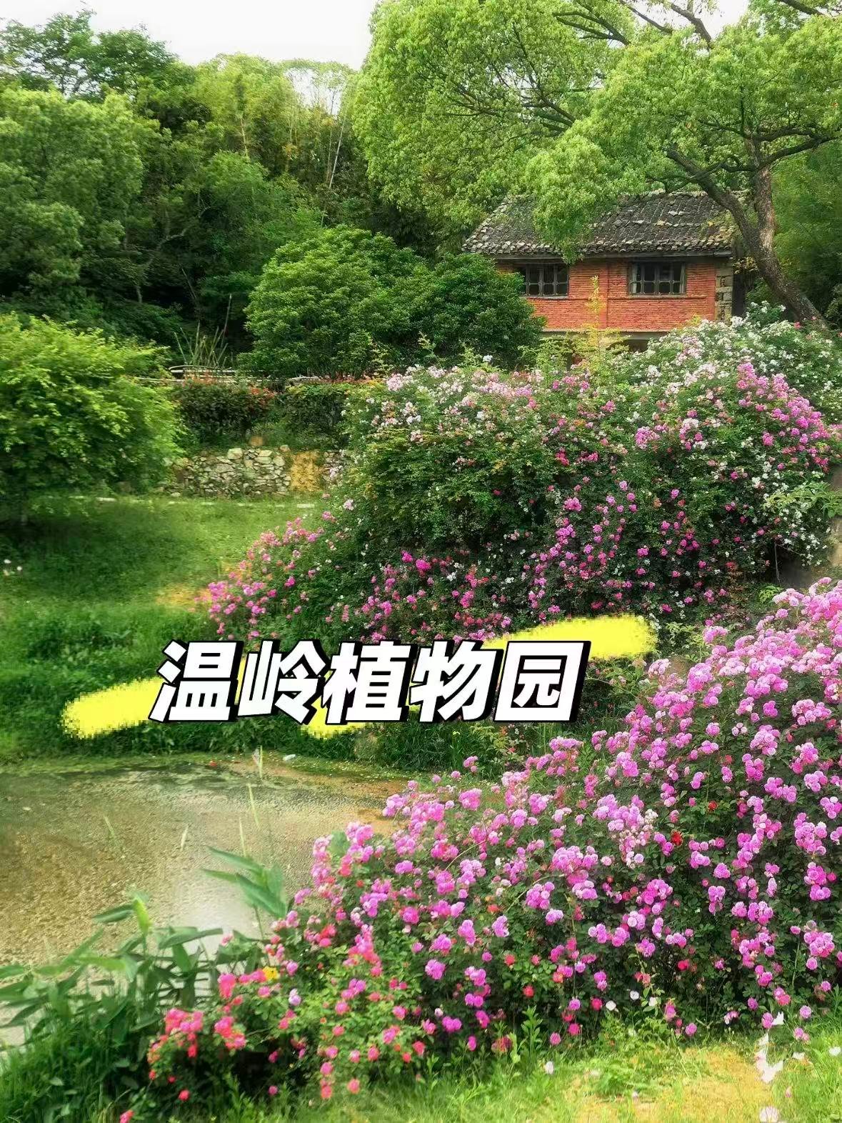 温岭植物园｜藏在城市里的春日童话🌿